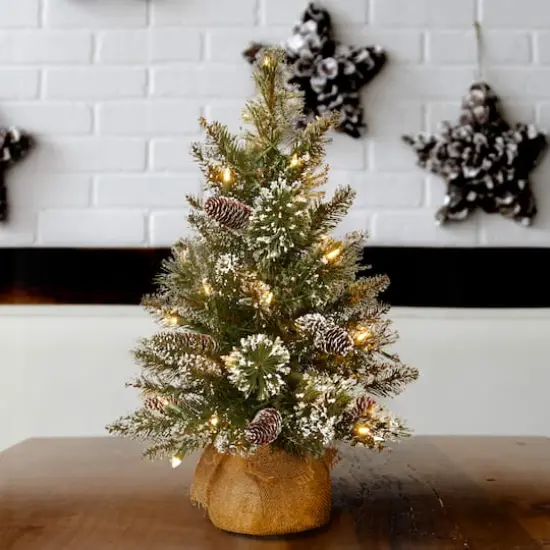 2ft. Pre-lit Glittery Bristle&reg; Pine & Burlap Artificial Christmas Tree, Warm White LED Lights {3}