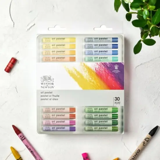 Winsor & Newton&trade; Introduction to Fine Art 30 Piece Oil Pastel Set {6}