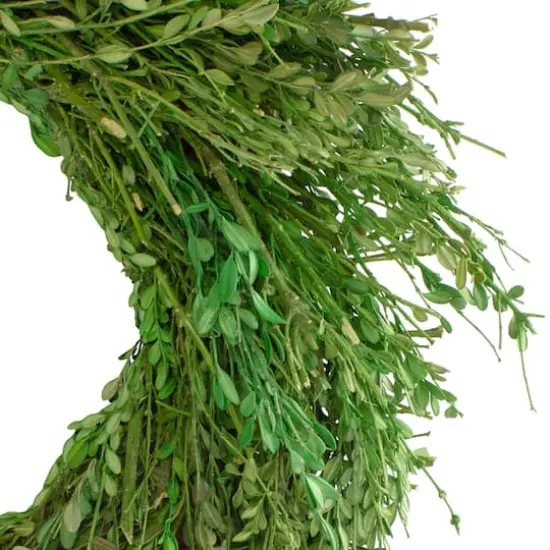 20" Green Foliage Artificial Spring Wreath {3}