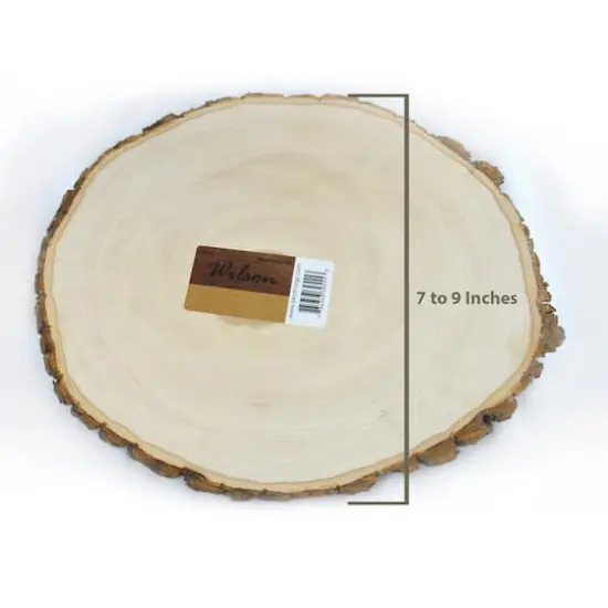 Wilson&reg; Enterprises 10 Pack Medium Basswood Plaque {3}