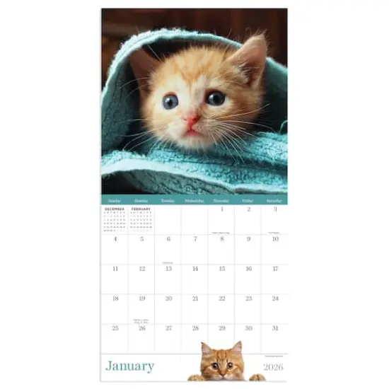 2026 Kittens Mini Calendar {3}