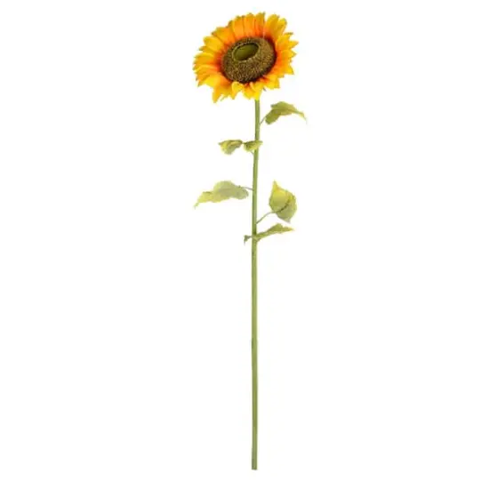 Yellow Sunflower Stem {1}