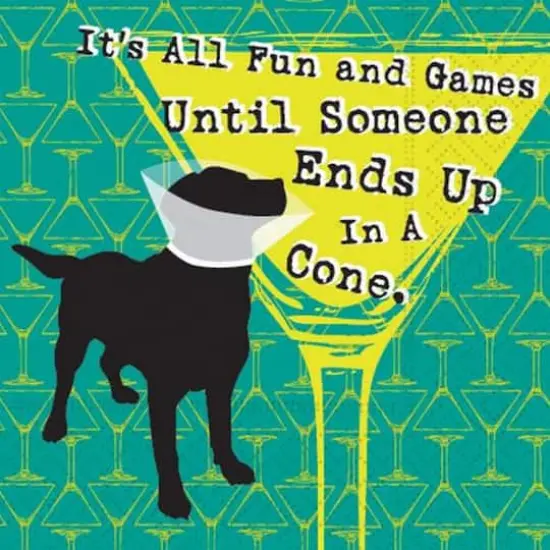 JAM Paper All Fun & Games Cocktail Napkins, 40ct. {1}