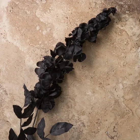 Black Wisteria Stem by Ashland&reg; {3}