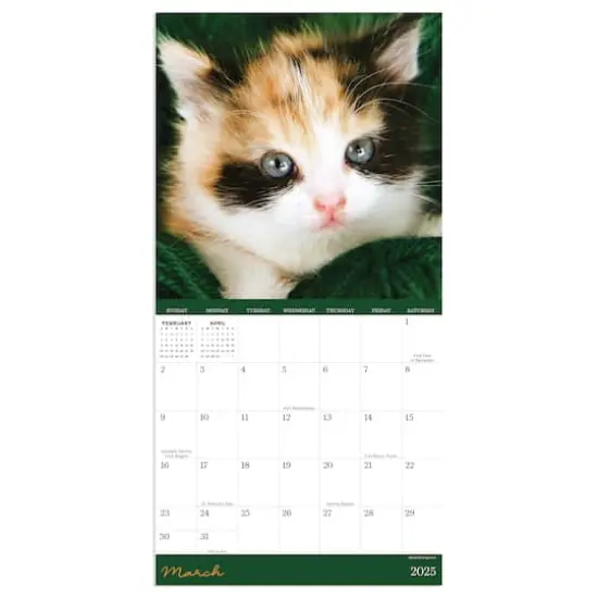 TF Publishing 2025 Kittens Mini Calendar {5}