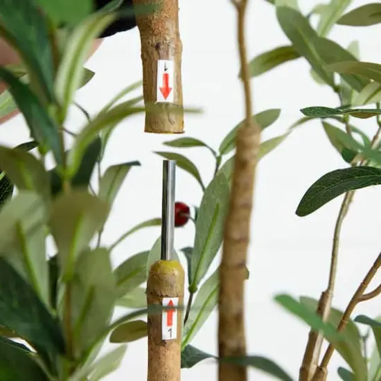 6ft. Potted Artificial Olive Tree with Natural Trunk {4}