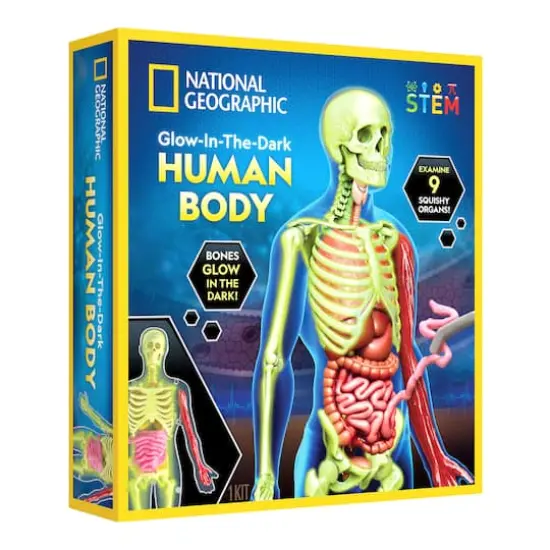 National Geographic&trade; Glow-in-the-Dark Human Body {1}