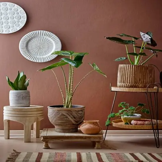 Hello Honey&reg; 16" Paulownia Wood Stool {6}