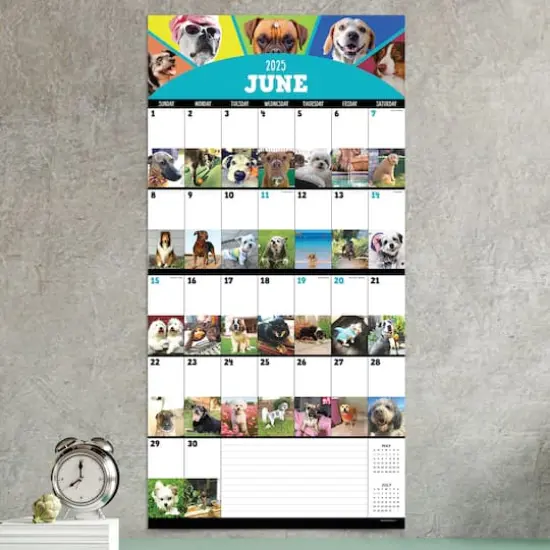 TF Publishing 2025 Dog-a-Day Wall Calendar {5}