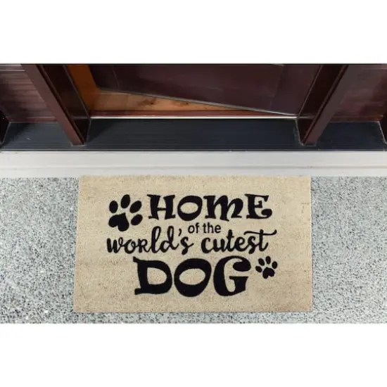 DII&reg; World's Cutest Dog Doormat {6}