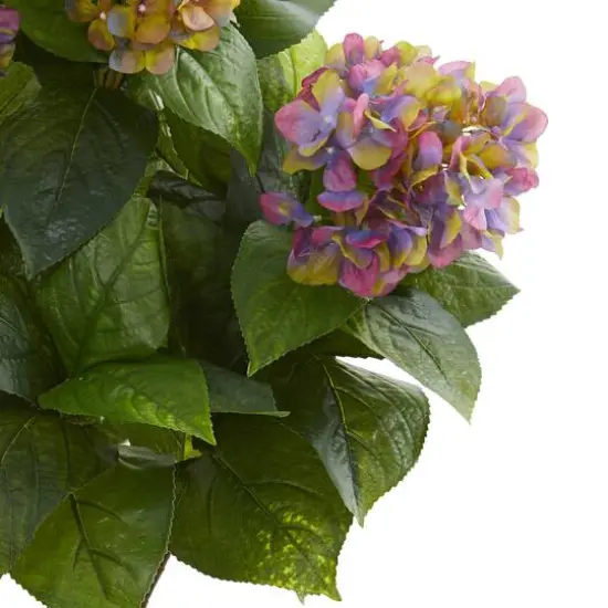 3.5ft. Potted Purple Hydrangea {4}
