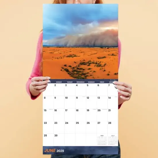 TF Publishing 2025 Weather Wall Calendar {6}