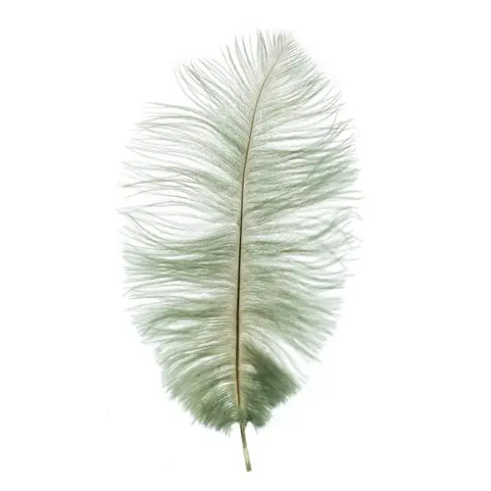 John Bead 11"-13" Ostrich Drab Feather Seafoam {4}