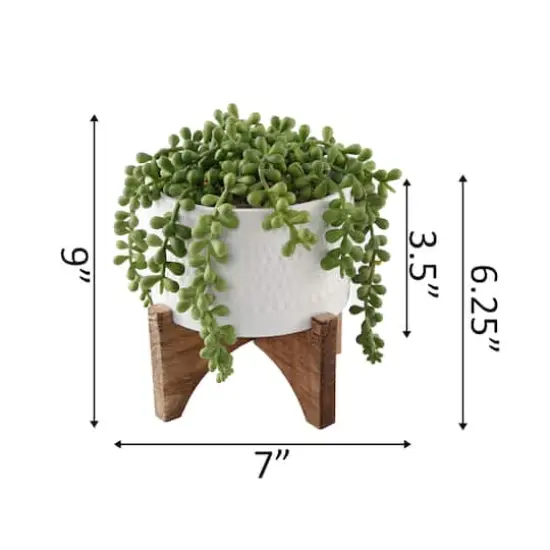 Flora Bunda&reg; 5" String Of Pearl In Hobnail Ceramic Planter On Stand {3}