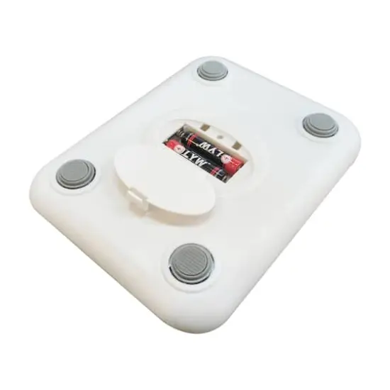 Digital Food Scale by Celebrate It&reg; {5}