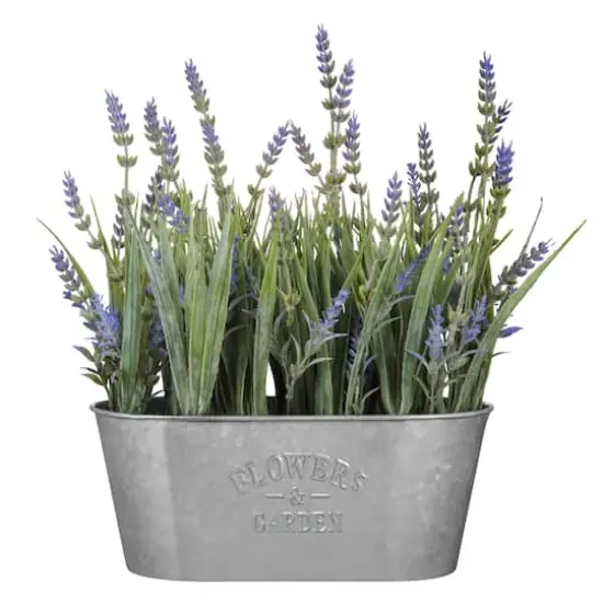 Haute Decor 10" Lavender In Galvanized Metal Pot {1}