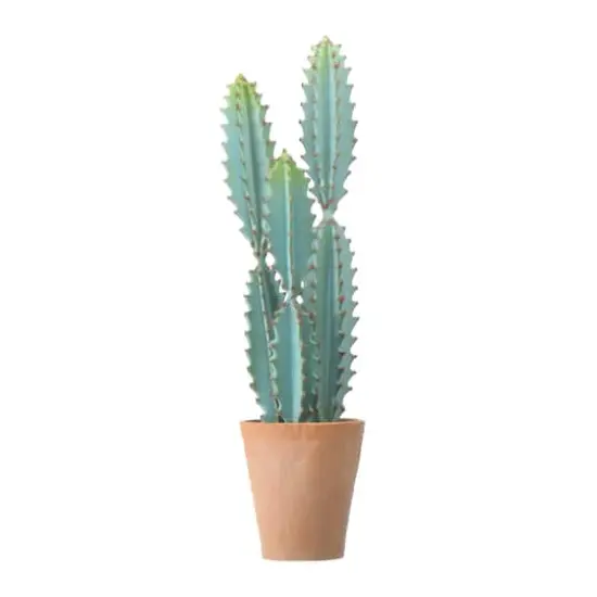 Hello Honey&reg; 20" Faux Cactus in Terra Cotta Colored Pot {1}