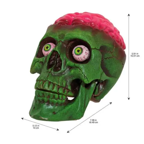 6" Green Skull D&eacute;cor by Ashland&reg; {4}