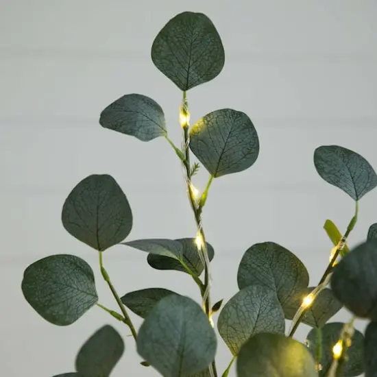 5ft. Pre-Lit Artificial Eucalyptus Tree with Warm White LED Lights {4}