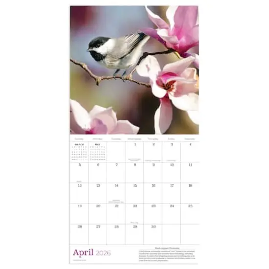 2026 Backyard Birds Mini Calendar {3}