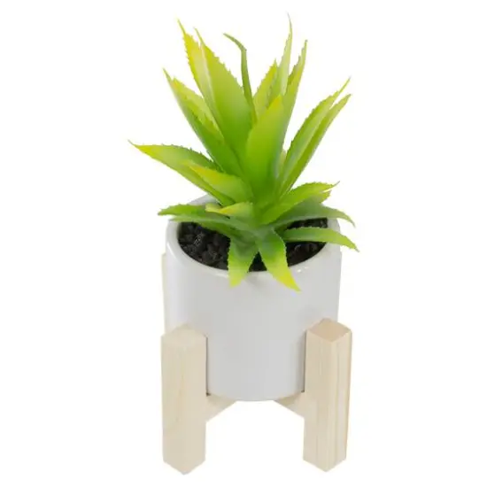 8.25" Potted Green Agave Plant with Wooden Stand {6}
