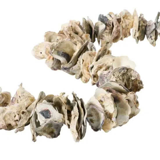 Hello Honey&reg; 4ft. Oyster Shell Garland with Raffia Tassels {3}