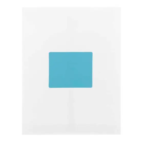 JAM Paper Adhesive Shipping Labels, 3.33" x 4" Blue {7}