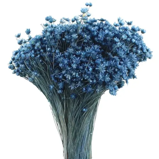 14" Navy Blue Dried Campo Flower Bunch by Ashland&reg; {3}