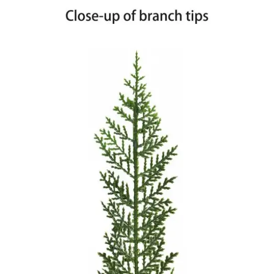 7.5ft. Pre-Lit Cypress Artificial Christmas Tree, Warm White LED Lights {7}