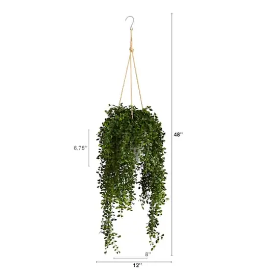 4ft. Honey Locust Plant in Hanging Metal Bucket {3}
