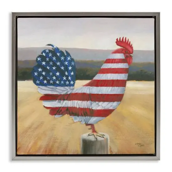 Stupell Industries American Flag Rooster Floater Framed Art Gray {1}