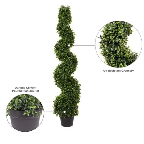 5ft. Potted Green Boxwood Spiral Tree {9}