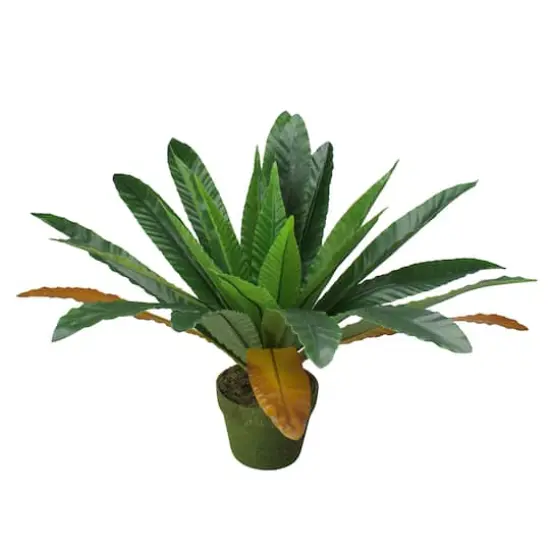 22" Potted Artificial Green & Brown Bird Nest Fern {1}