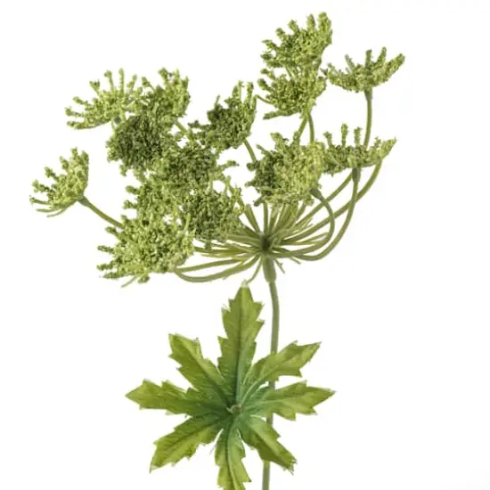 Light Green Queen Anne's Lace Spray by Ashland&reg; {4}