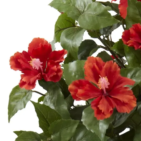 3ft. Hibiscus Topiary Plant in Decorative Planter {3}