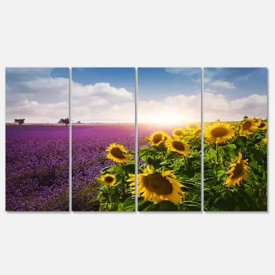 Designart - Lavender and Sunflower Fields - Floral Canvas Art Print {1}