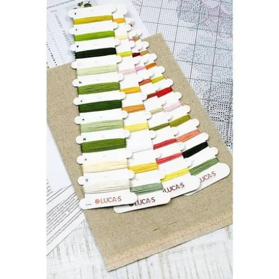 Luca-s The Dutch Codlin Counted Cross Stitch Kit {3}