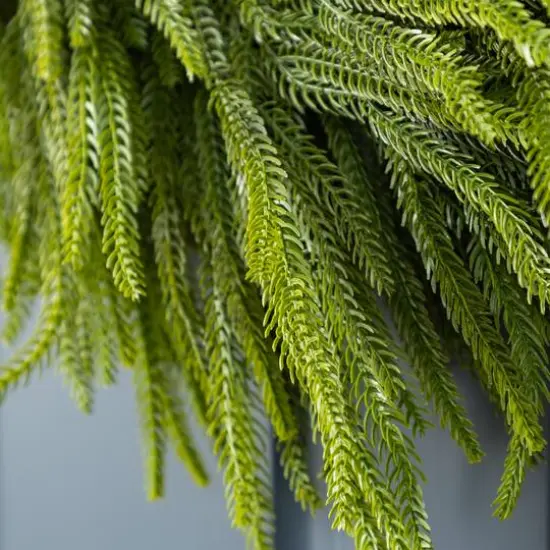 Glitzhome&reg; 28"D Christmas Greenery PE Wreath {7}