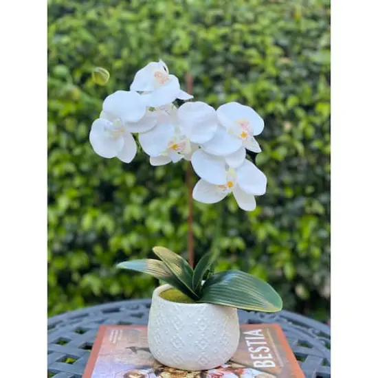 Flora Bunda&reg; 16" Real-Touch Orchid in Ceramic Pot {4}