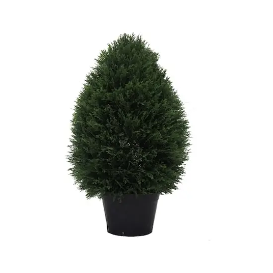 2ft. Potted Cedar Teardrop Shaped Bush {1}