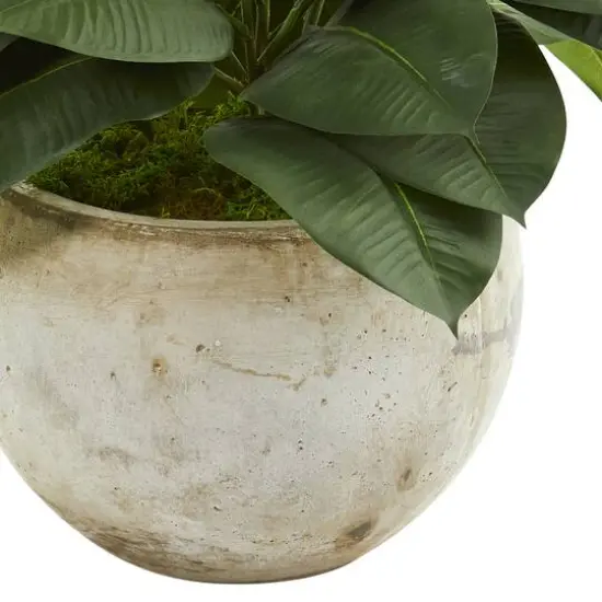 2ft. Artificial Rubber Plant in Stone Planter {4}