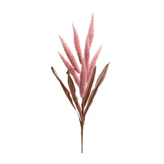 35.5" Dark Pink Foxtail Plume Stems, 2ct. {1}
