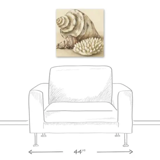 Conch And Sea Shells 20" x 20" Canvas Wall Art {4}
