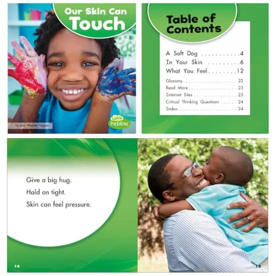 Capstone Press Our Amazing Senses Set {7}