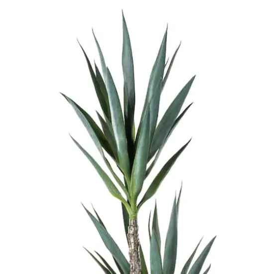 5ft. Potted Artificial Green Yucca Tree {4}