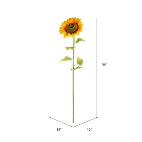 Yellow Sunflower Stem {3}