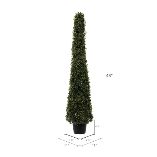 4ft. Potted Boxwood Cone {7}