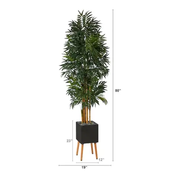 6.5ft. Phoenix Palm Tree in Black Planter with Stand {3}