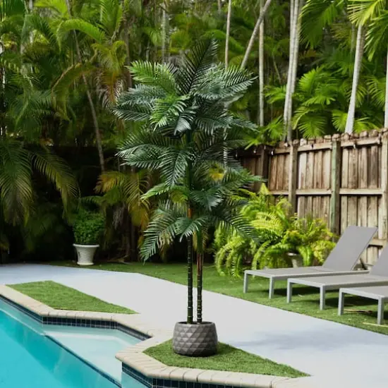 8ft. Potted Green UV Resistant Artificial Double Robellini Palm Tree {7}