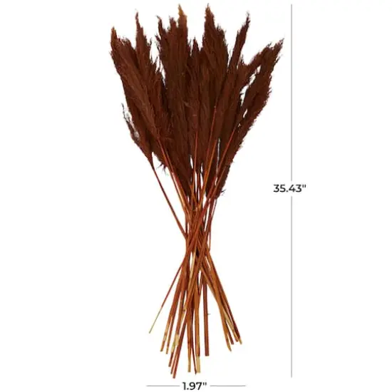 Dried Plant Bamboo Natural Foliage with Long Stems Copper {8}